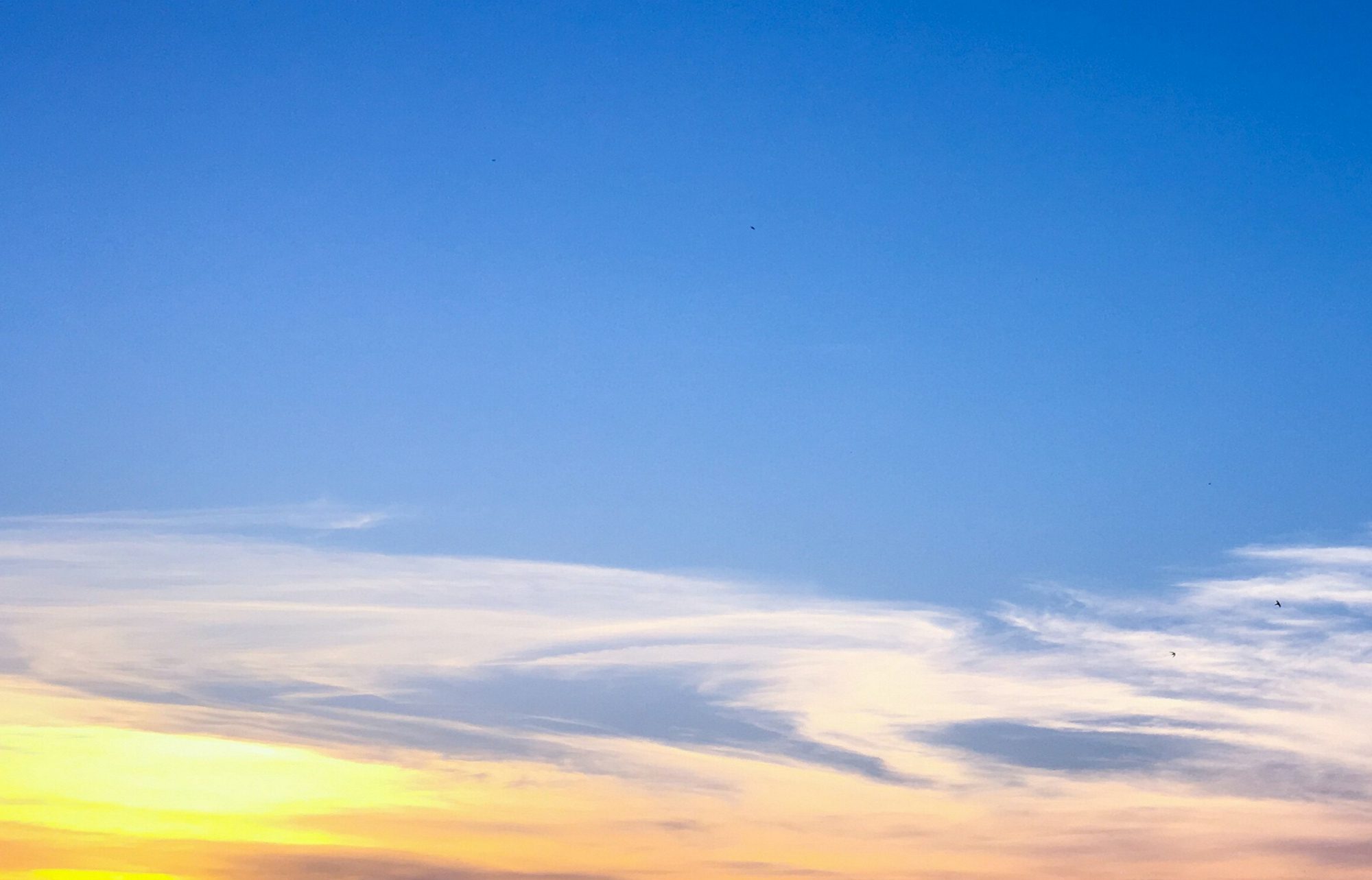 Ocena Edge Condo Styles For Sale Leighton Team Condo Sales and